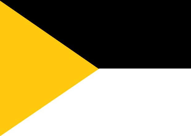 proposed Pittsburgh city flag by River Dolfi featuring gold triangle with black and white other sections