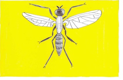 design sugestion for new Pittsburgh flag by Ray Strobel with a drawing of a gnat on a gold field
