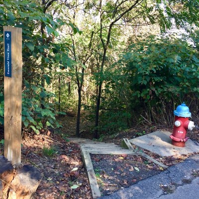wooden steps descending to wooded trail, Pittsburgh, PA