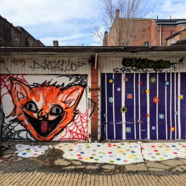 garage door murals of giant cat head and abstract lines and stars, Pittsburgh, PA