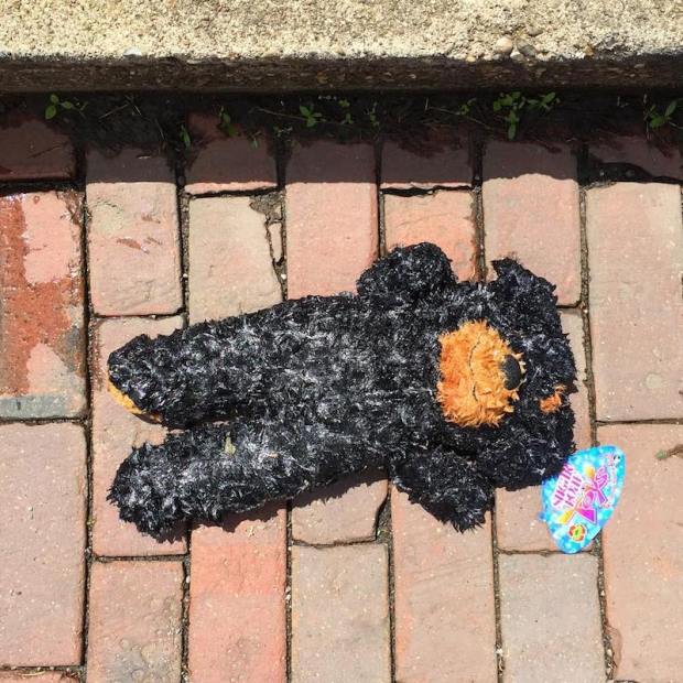 stuffed animal bear laying on brick street, Millvale, PA