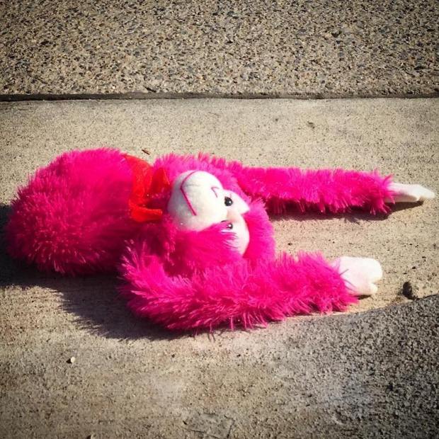 pink stuffed animal monkey on street pavement, Pittsburgh, PA