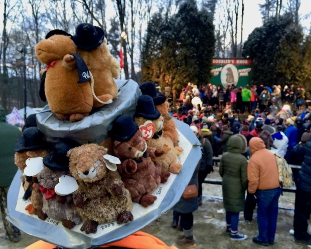 homemade hat with stuffed groundhogs