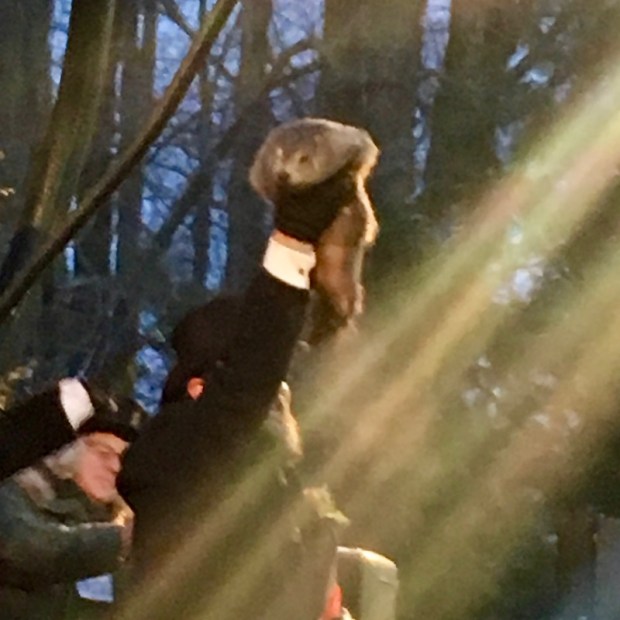 Punxsutawney Phil raised aloft in Groundhog Day ceremony