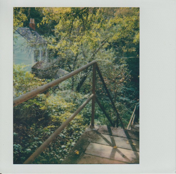 Polaroid photo of public staircase with trees and house behind