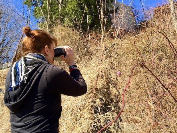 woman taking photograph of weed-covered set of public stairs in Pittsburgh, PA