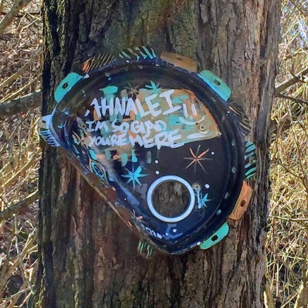 large metal can lid painted and nailed to a tree, Pittsburgh, PA