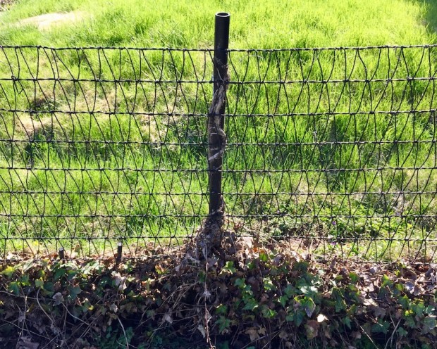 detail of Ellwood woven wire yard fence made by American Steel & Wire Co.