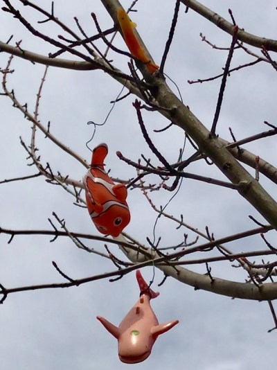 three plastic fish hanging from wire in a bare tree