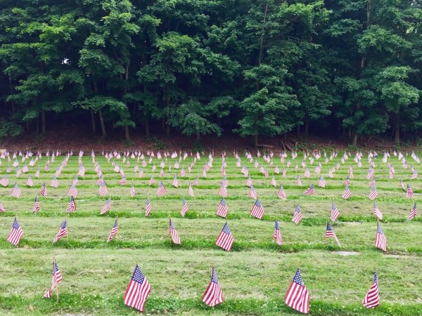 rows of small flags marking surface-level military graves in Allegheny Cemetery, Pittsburgh, PA