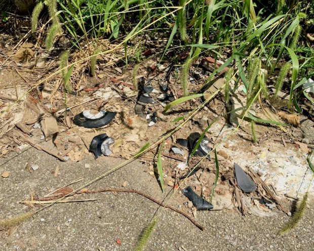 street blacktop bordering overgrown weeds with broken records, Clairton, PA