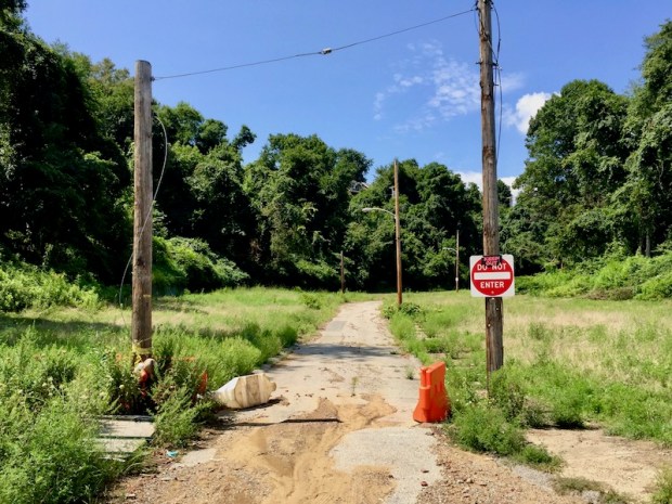 single lane road leading into empty valley surrounded by trees, Clairton, PA