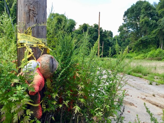 stuffed animal hung from its neck by caution tape on telephone pole, Clairton, PA