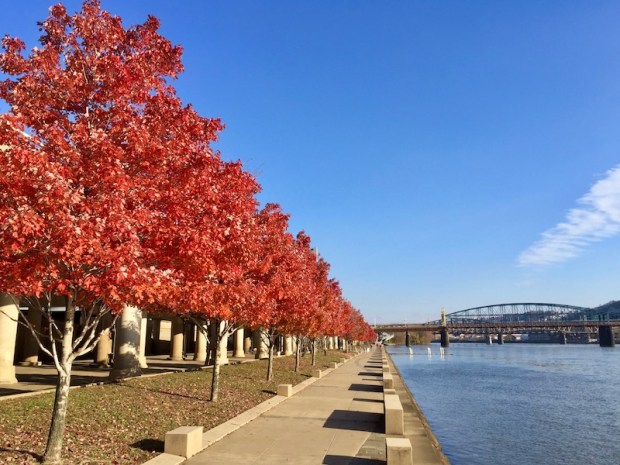 Mon Wharf walkway in downtown Pittsburgh, PA