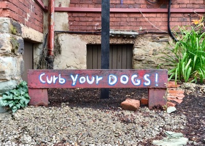 metal rail painted with message "Curb your dogs!"