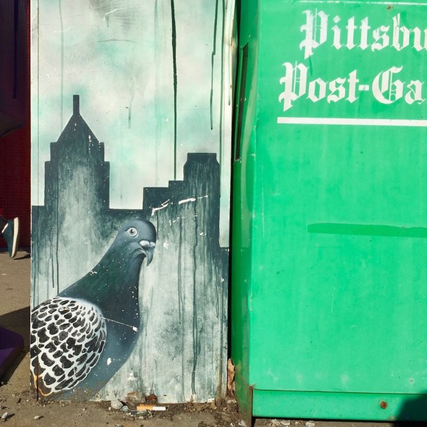 news box with artwork of Pittsburgh skyline and pigeon