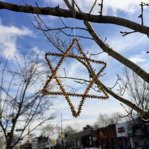 golden wire Star of David on tree limb, Pittsburgh, PA