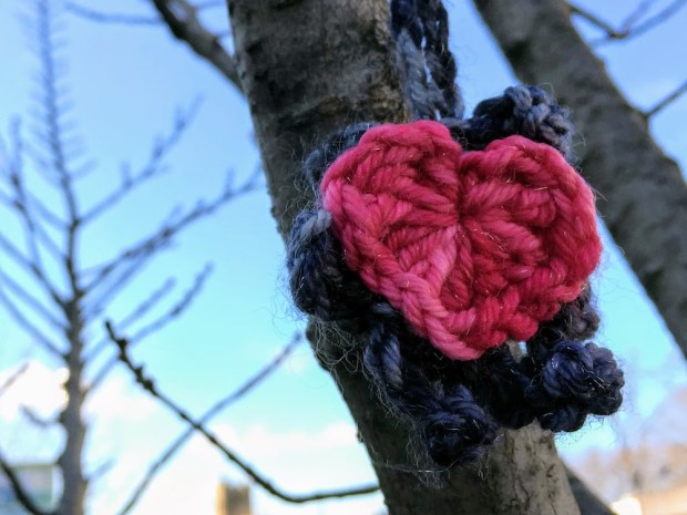 crochet Star of David with heart on tree limb, Pittsburgh, PA