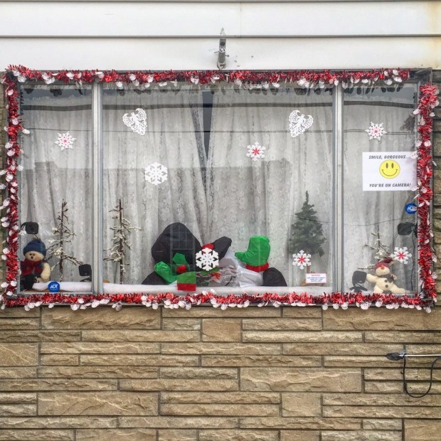 row house window decorated for Christmas, Pittsburgh, PA