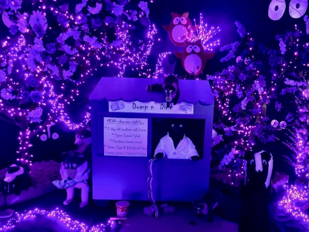 elaborate diorama of nocturnal animals at night at Kraynak's Easter Bunny Lane, Hermitage, PA