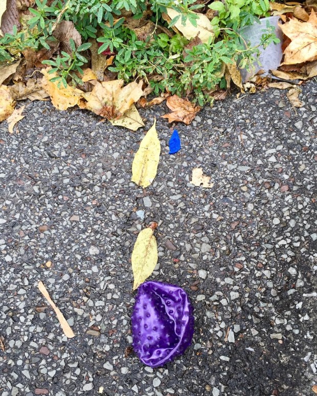 deflated toy ball left on street
