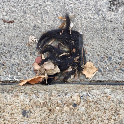 portion of leaf-covered black wig laying in street