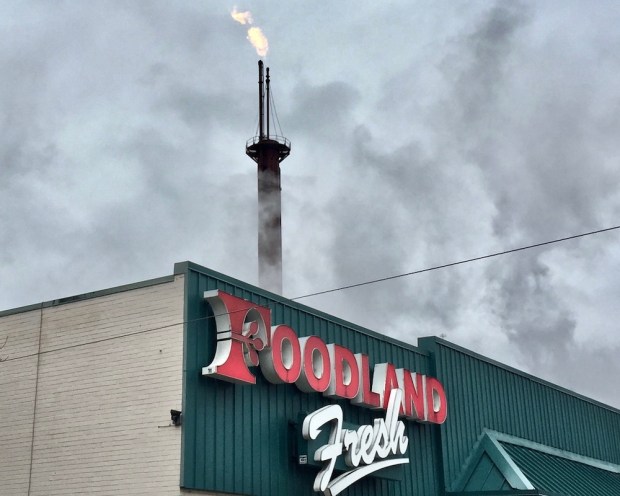 roofline of Foodland grocery store with flaming smokestack behind it