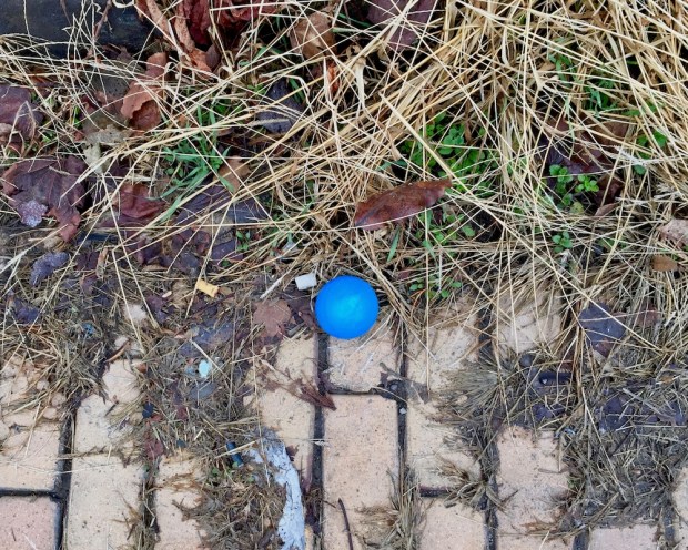 blue toy ball left on curb of brick street