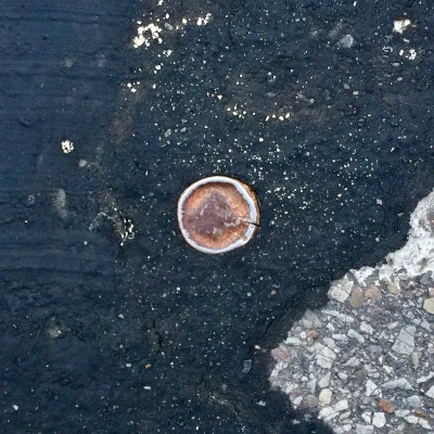 bottle cap embedded in road tar
