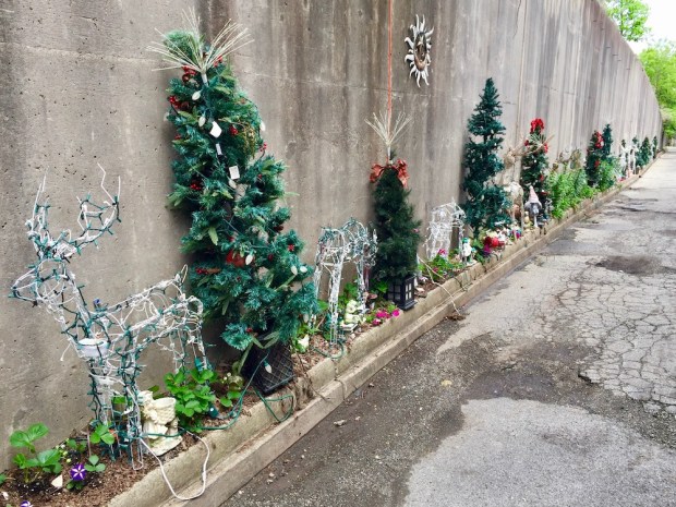 concrete retaining wall decorated with artificial Christmas trees, flowers, and other items