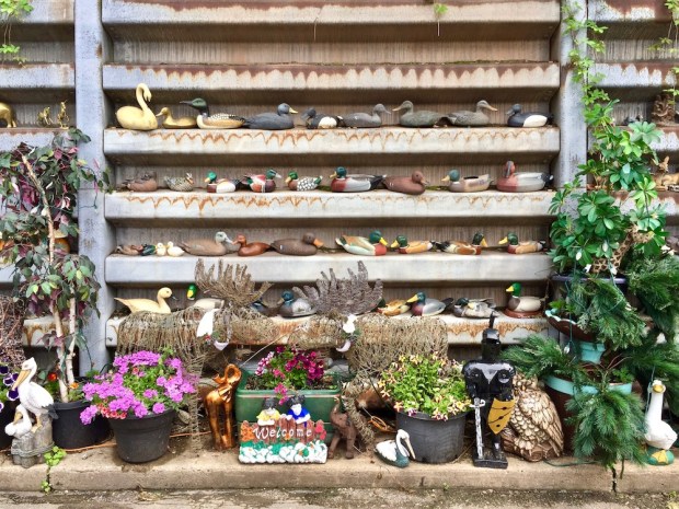 retaining wall with many model ducks