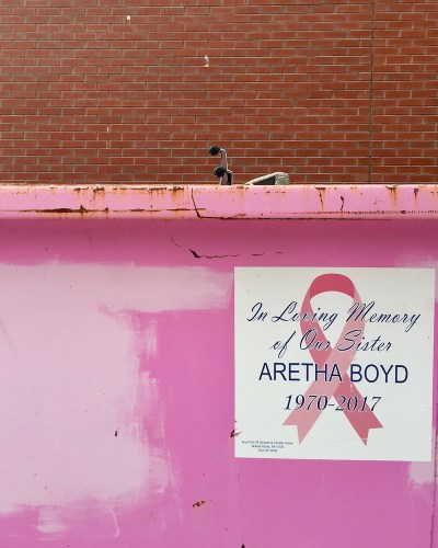 dumpster painted bright pink