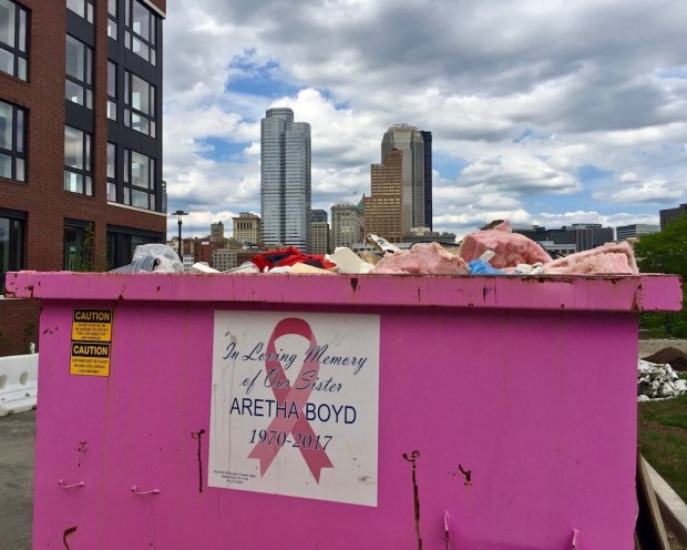 dumpster painted bright pink with downtown Pittsburgh skyline in background