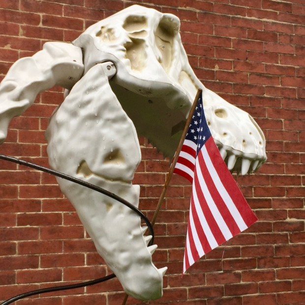 large plastic dinosaur lawn ornament with American flag in its mouth