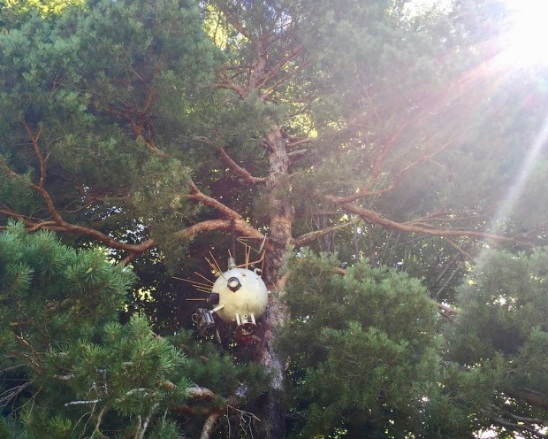 sculpture of robot-like orb hanging from tall pine tree