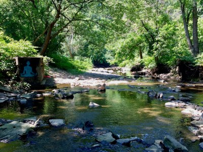 wide creek through woods