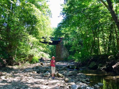 woman standing by creek in woods