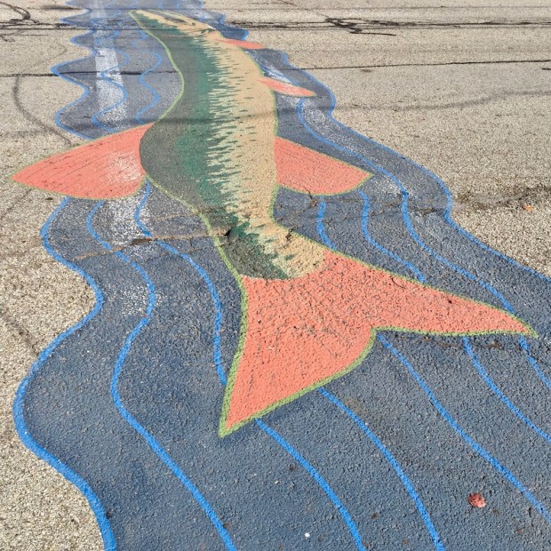 street crosswalk mural of large fish in water