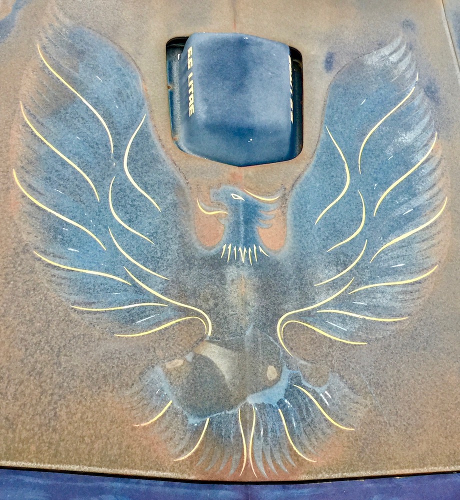 worn hood of 1970s Pontiac Firebird with painted logo for the brand