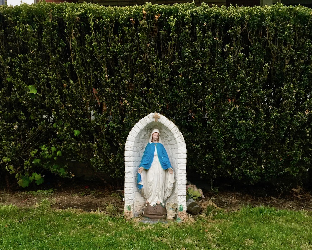 statue of Mary in front of large hedges in residential front yard