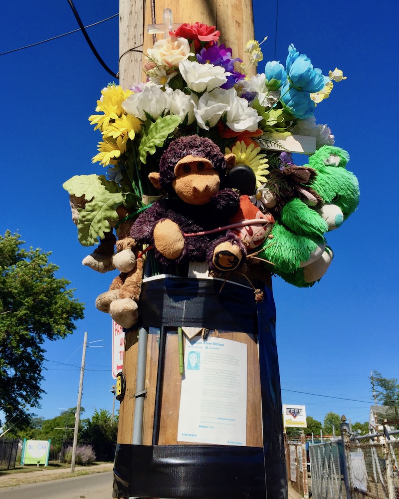 memorial on utility pole including stuffed animals and flowers