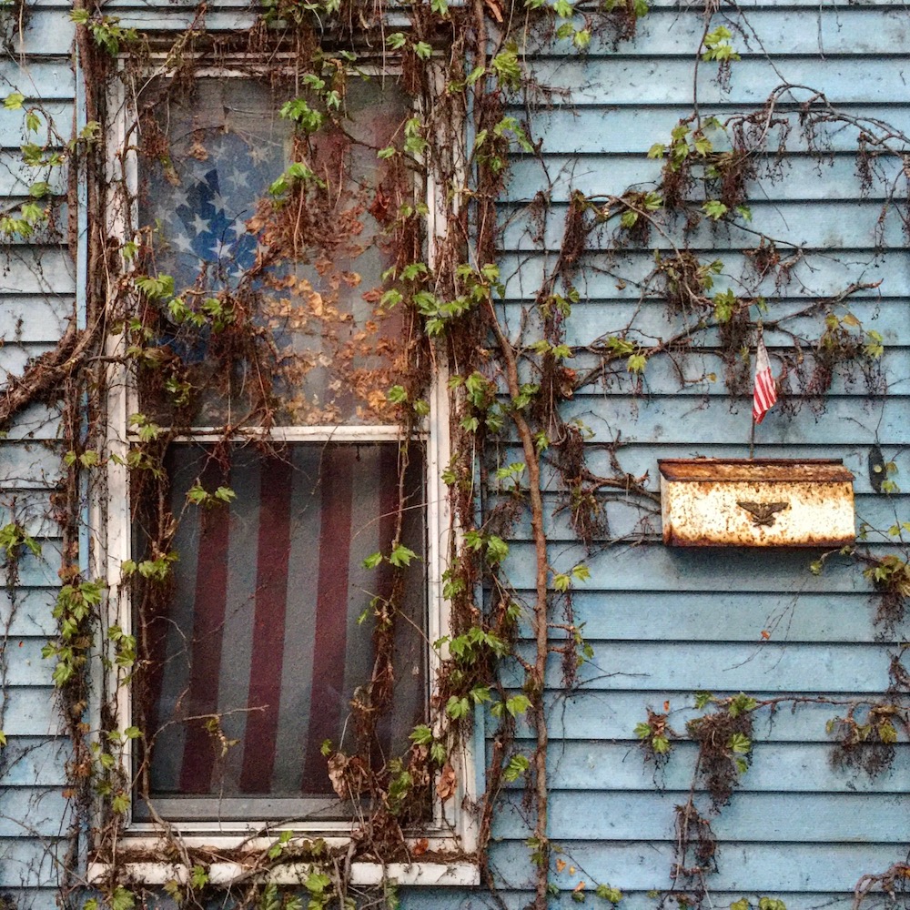 row house window overgrown with vines showing American flag used as a curtain inside