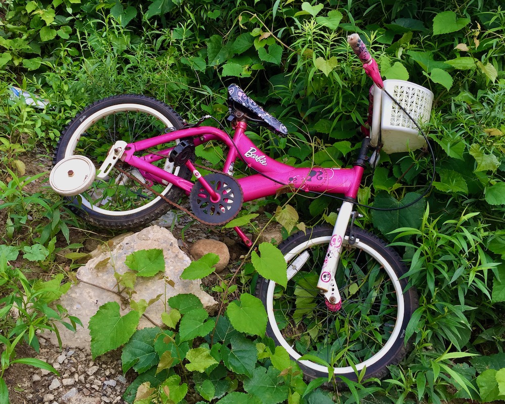 child's bicycle dumped in overgrown alley