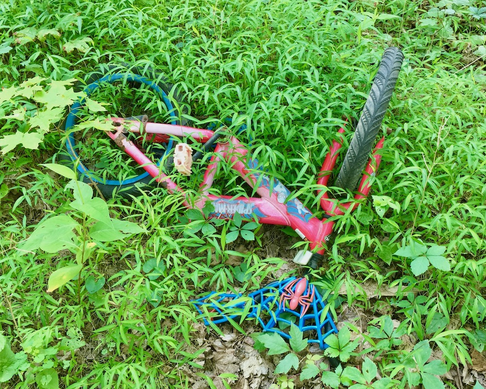 child's Spiderman bicycle dumped in weed-filled lot