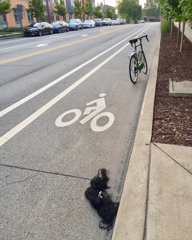 large mass of false hair in bicycle lane on city street
