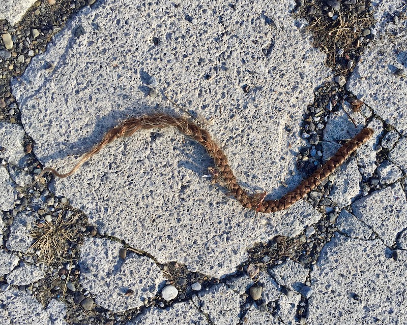 braided ponytail on cracked cement