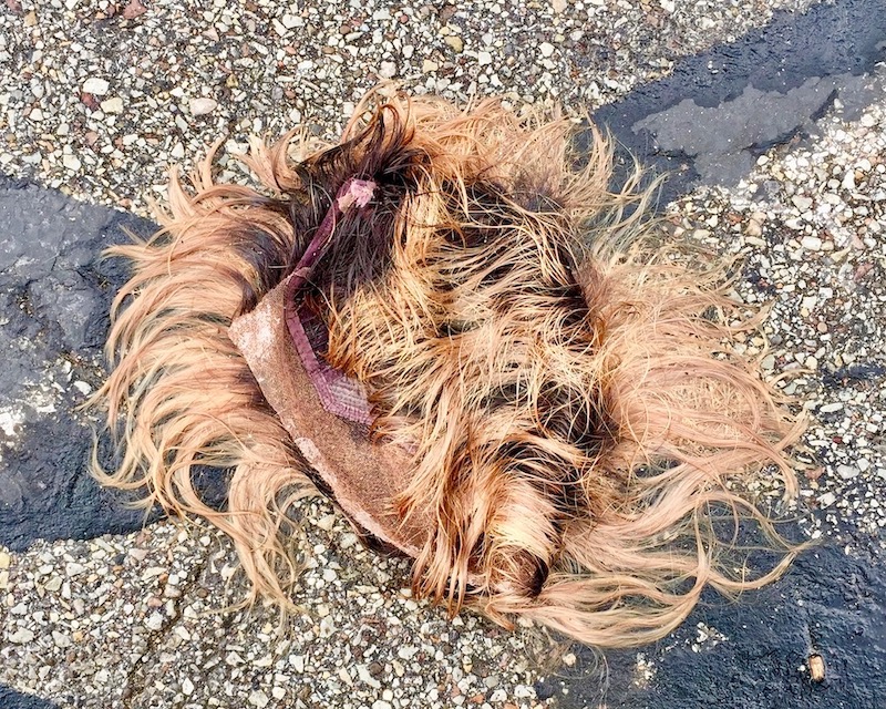 sandy blond colored wig on road surface