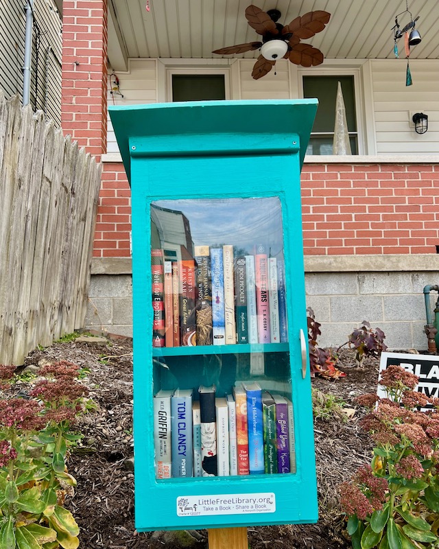 little free library painted aqua blue
