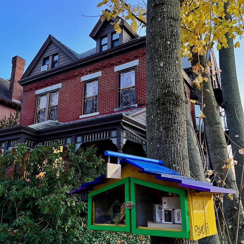 little free library attached to tree in residential neighborhood
