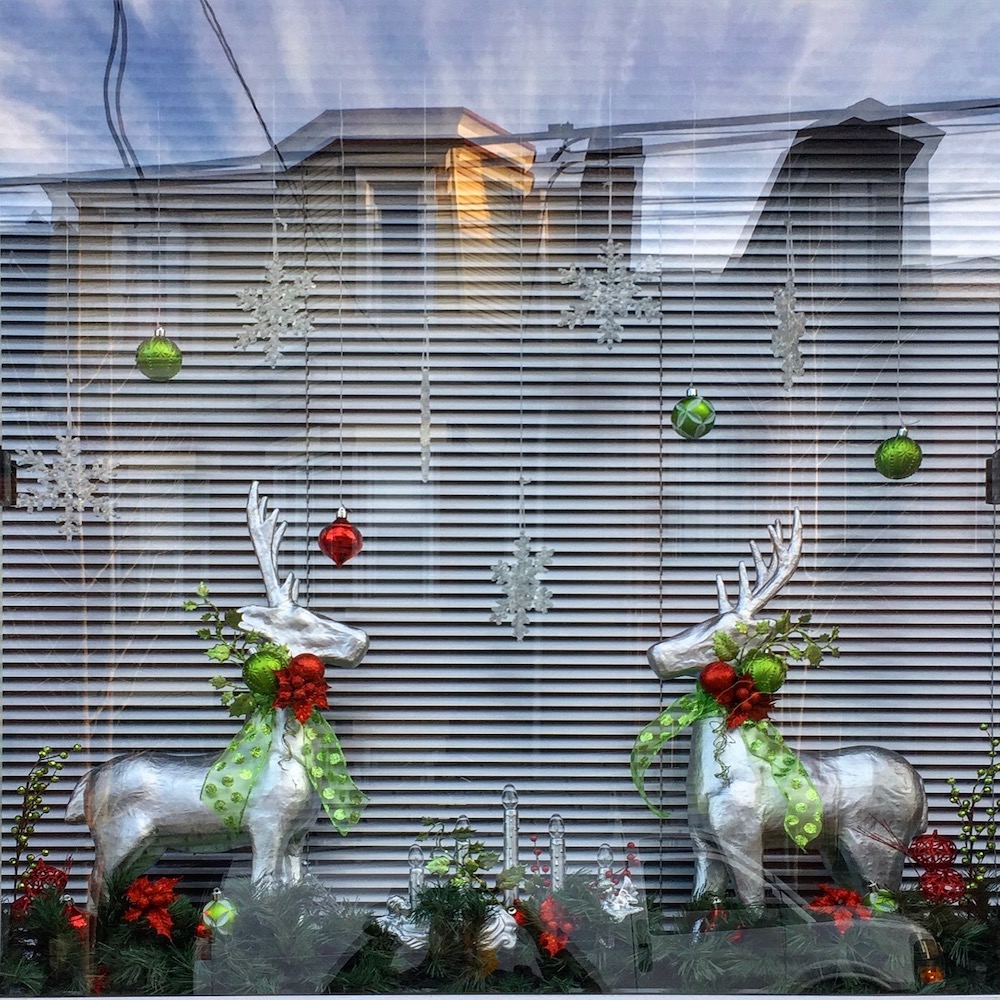 Christmas window decoration of two silver reindeer with red and green ornaments